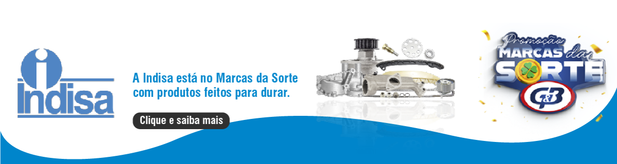 Indisa