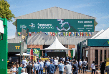Brasil lidera mundialmente na cogeração de energia renovável