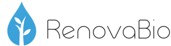 Táticas Eficazes para o Posicionamento no Mercado Renovabio