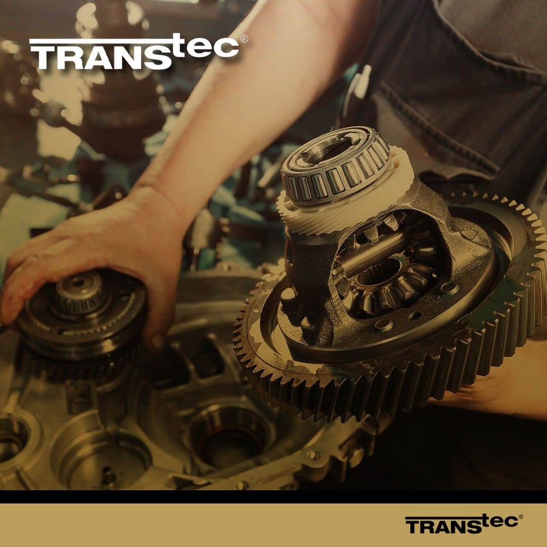 Transtec Capacita Mais de 200 Profissionais das Equipes de Vendas Scherer e PMZ