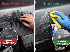 Remoção inadequada de piche e cola pode danificar pintura do veículo