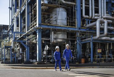 Lwart registra maior produção de óleo básico da história em meio a expansão