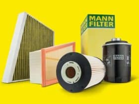 Mann: Meaning, Origin, and Cultural Significance of the Surname