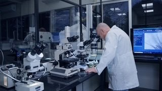 Frasle Mobility fortalece ecossistema de inovação com parcerias acadêmicas e apoio à pesquisa científica