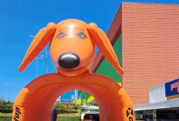 Cofap Oferece Avaliações Gratuitas de Amortecedores em Novas Edições do Evento Shocktester