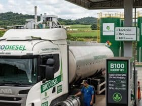 Biodiesel tem forte arrancada em maio enquanto governo testa aumento da mistura para até 25%