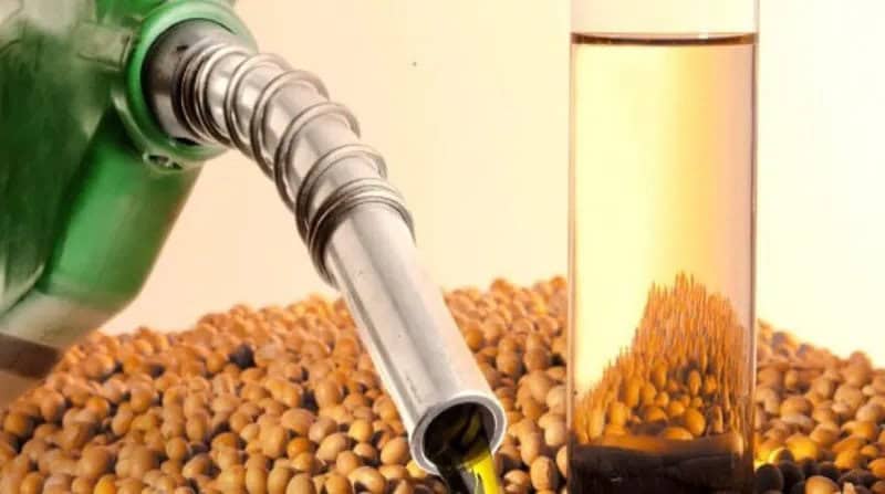Governo veta importação de biodiesel para mistura obrigatória ao diesel e reforça confiança na produção nacional