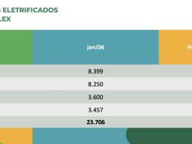 Eletrificados leves atingem 15% de participação de mercado em janeiro