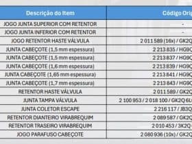 Dana amplia portfólio Victor Reinz para Ford Transit EcoBlue com Motor Panther BLHA