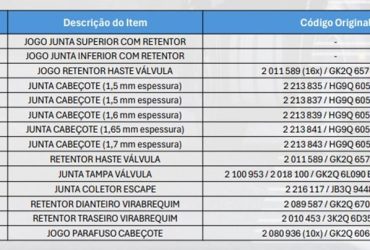 Dana amplia portfólio Victor Reinz para Ford Transit EcoBlue com Motor Panther BLHA