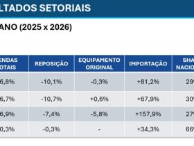 Participação da Indústria de Pneus Brasileira no Mercado de Reposição Cai para 29%: Entenda as Causas e Impactos