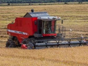 Inteligência artificial na manufatura aumenta precisão e agilidade na produção de máquinas agrícolas