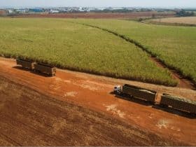 Raízen promove excelência operacional com programas de reconhecimento no transporte e colheita de cana