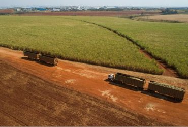 Raízen promove excelência operacional com programas de reconhecimento no transporte e colheita de cana