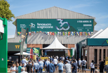 Brasil lidera mundialmente na cogeração de energia renovável