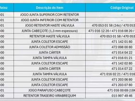 Dana Lança Novas Aplicações Victor Reinz para Veículos Mercedes-Benz