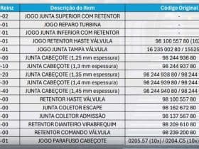 Dana amplia portfólio Victor Reinz para Motor DV5RUC de 120cv