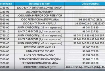 Dana amplia portfólio Victor Reinz para Motor DV5RUC de 120cv